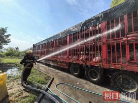 运输途中“二师兄”中暑变红，湖北监利消防员为其紧急喷水降温